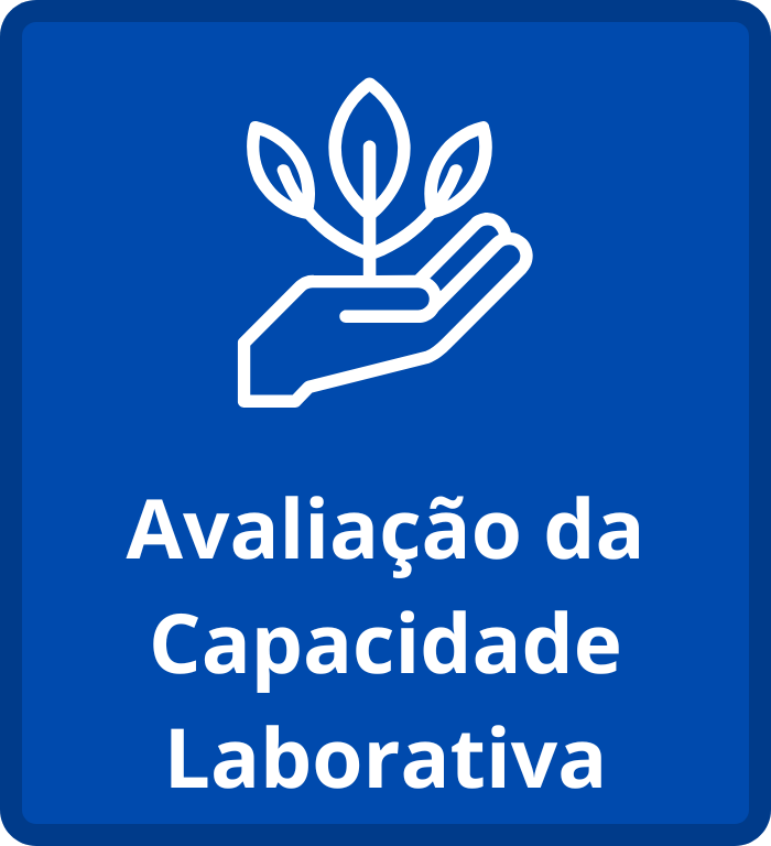 Botes avaliao da capacidade laborativa